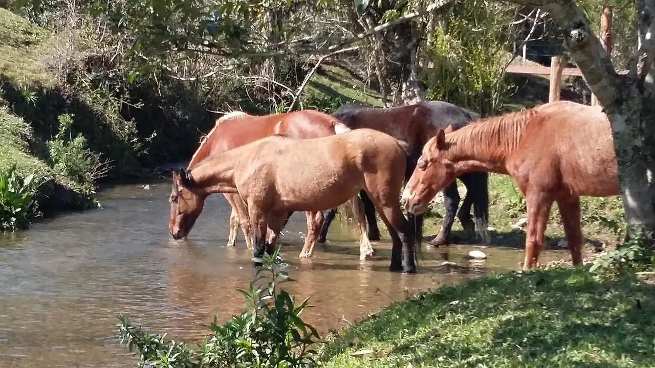 Pousada Casa Antiga Campo Alegre  Penzion