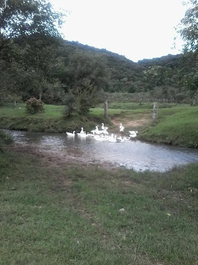 Penzion Pousada Casa Antiga Campo Alegre